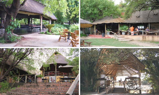 maun-lodges