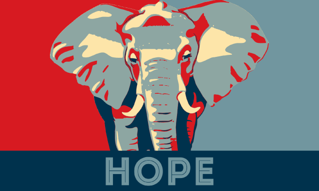 yb-elephant-hope
