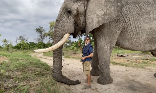 Botswana elephant sanctuary owner, Doug Groves killed by wild elephant